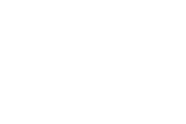 Alpha Luxury Company